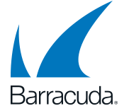 46Solutions-Partner-Baracuda