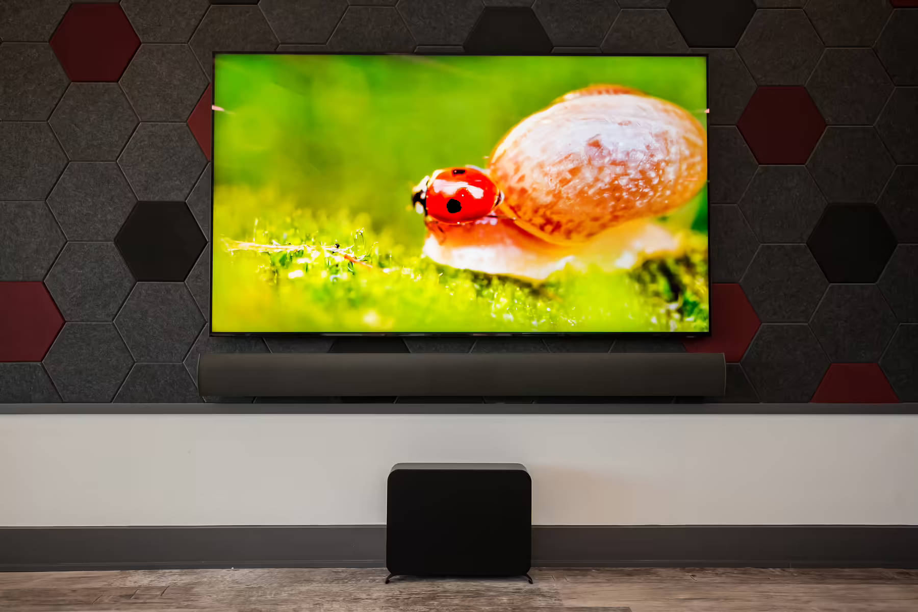 Flat screen tv mounted on a gray hexagon wall, showing a bright green grassy scene with a lady bug sitting on a mushroom.