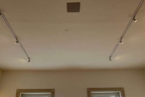 Ceiling-mounted audio speaker in a well-lit room with large windows.